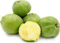 Grafted White Sapote Plant - 1 Feet Tall - Ship in 6" Pot - Casimiroa edulis