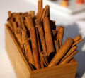 Cinnamon Tree 6" Pot - Aromatic Evergreen Shrub - Cinnamomum verum - Culinary Spice Plant for Home Garden