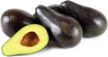 Grafted Stewart Avocado Tree - 1 Feet Tall - Plastic Bag Shipping - Avocado Plant (Persea americana)