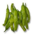 Sweet Shishito Pepper Plant - 3” Pot - Capsicum annuum - Live Plant for Home Garden or Container Gardening