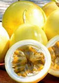 Yellow Passion Fruit Plant - 6" Pot - Passiflora Edulis - Self-Pollinating with Frilly Flowers - Ideal for Trellis or Hanging Basket