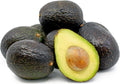 Hass Avocado Tree - 1ft Grafted Plant, Live Hass Avocado - Persea americana - Ships in Plastic Bag
