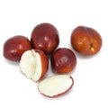 Li Jujube Tree - 3 Gallon Pot - Grafted - Large Fruit - Ziziphus jujuba - Ideal for Zones 5-10