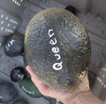 Grafted Queen Avocado Tree - 1 Feet Tall - Avocado Plant - Ships in Plastic Bag - Persea americana