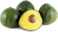 Nabal Avocado Tree - 1ft Grafted Plant - Shipping in Plastic Bag - Persea Americana