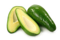 Fuerte Avocado Tree - Grafted - 2 Feet Tall - 6" Pot - Persea americana