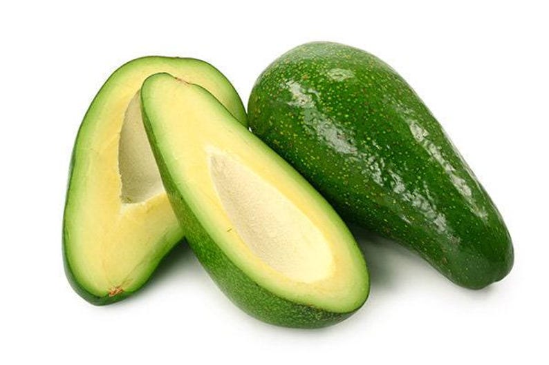 Fuerte Avocado Tree - Grafted - 2 Feet Tall - 6" Pot - Persea americana