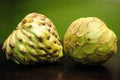 Dr White Cherimoya Plant - 3 Feet Tall in 3 Gal Pot - Annona cherimola