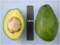 Grafted Simon Avocado Tree - 2 Feet Tall - Simmonds Variety - Ships in 3Gal Pot - Creamy Flavor Avocado Plant