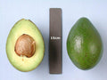 Grafted Avocado Tree in 3 Gallon Pot - Booth 8 Variety - 2 Feet Tall - Persea americana