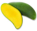 Grafted Keo Savoy Mango Tree - 1ft Tall in 6" Pot - Mangifera indica - Exotic Thai Mango with Sweet Crunchy Flavor