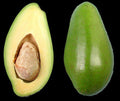 Doni Avocado Tree - Grafted 3Gal Pot - Florida's Premium Variety - Persea americana