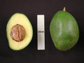 Grafted Choquette Avocado Tree in 3Gal Pot - 2 Feet Tall - Persea americana - Ideal for Home Gardens and Florida Climate