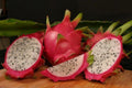 Dragon Fruit Plant - 1 ft - Vietnamese Jaina - Hylocereus undatus - Ships in 6" Pot - Live Plant with Good Roots