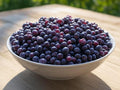 Regent Dwarf Serviceberry Shrub, 5-10 Inch Starts, Edible Sweet Fruit, Cold Hardy Juneberry, Amelanchier alnifolia