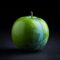Rare St. Julian's Green Plum Tree Seedling - 12-18 Inch Live Plant - European Plum (Prunus domestica)