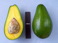Grafted Pollack Avocado Tree - 1ft Tall - 6" Pot - Perfect for Home Garden - Persea americana