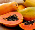 Organic Dwarf Papaya Plant 1 Gal Pot Red Lady 1-2ft Easy to Grow Container Gardening Carica papaya