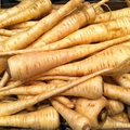 100 All American Parsnip Seeds | Pastinaca sativa Heirloom Variety | Rare Root Vegetable for Fall & Spring Planting in Gardens