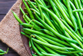 20 Seeds Provider Green Bush Bean - Phaseolus vulgaris | Heirloom Bean for Planting, Home Gardening & Fresh Vegetable Harvest