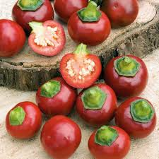 Red Cherry Sweet Pepper Seeds – 250mg for Planting, Heirloom Variety, Mild Crunchy, High Yield, Great for Snacking & Pickling, Garden Ready