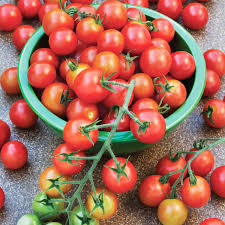 Tomato Red Cherry Seeds – 100mg for Planting, Heirloom Variety, Sweet & Juicy, High Yield, Great for Salads  Snacking, Garden Containers