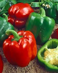 Sweet Pepper Yolo Wonder Bell Seeds – 300mg for Planting, Heirloom Variety, Crisp & Sweet, High Yield, Heat Tolerant, Garden Container