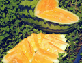 Orangeglo Watermelon Seeds | Heirloom - Non-GMO | 10-1,000 Seeds | Sweet Orange-Flesh Melon | 20-30 lbs | USDA Zones 3-10 |