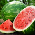 2 Gram Seeds Watermelon Crimson Sweet – Citrullus lanatus | Heirloom Seeds for Planting, Juicy and Sweet Watermelon Variety