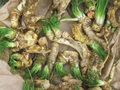 2 Horseradish Roots for Planting - Organic Horseradish Crowns - Easy To Grow - Garden Seedlings - Heirloom Root Starter Plants