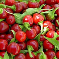 30 Seeds Large Cherry Hot Pepper (Capsicum annuum) – Sweet & Spicy, Cherry-Style Pepper for Planting, Great for Salsa, Salads and Hot Sauces
