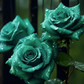 20pcs Scottish Green Rose Seeds - Non-GMO Heirloom Variety - Rare Green Blooms for Garden, High Germination, Planting Instructions
