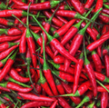 20 Red Thai Pepper Seeds – Hot & Spicy, Heirloom, Non-GMO, High-Yield Chili Peppers