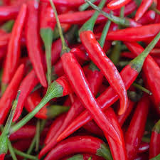 Hot Cayenne Red Long Pepper Seeds – 300mg for Planting, Heirloom Variety, Spicy & Flavorful, High Yield, Heat Tolerant, Garden Container