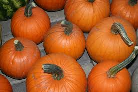 Small Sugar Pumpkin Seeds – 1g for Planting, Heirloom Variety, Sweet & Rich Flavor, High Yield, Perfect for Pies Baking, Garden Container