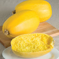 Spaghetti Squash Seeds – 1g for Planting, Heirloom Winter Squash, Mild Flavor, High Yield, Low-Carb Pasta Alternative, Garden & Container