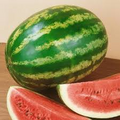 Crimson Sweet Watermelon Seeds – 2g for Planting, Heirloom Variety, Sweet & Juicy, High Yield, Heat Tolerant, Great for Garden Field