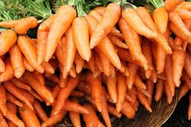 300 Seeds Tendersweet Carrot - Daucus carota | Heirloom Carrot Seeds for Planting, Gardening & Deliciously Sweet Root Harvest