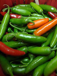 25 Serrano Pepper Seeds – Capsicum annuum – Heirloom, Spicy & Flavorful, High-Yielding
