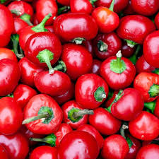Large Hot Cherry Pepper Seeds – 250mg for Planting, Heirloom Variety, Mild-Heat, High Yield, Great for Pickling, Stuffing & Salsas