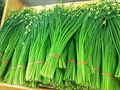 Flowering Chinese Leek Seeds – 250mg for Planting, Heirloom Variety, Fragrant & Edible, High Yield, Perennial Herb, Garden Container