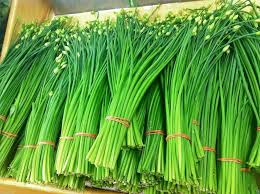 Flowering Chinese Leek Seeds – 250mg for Planting, Heirloom Variety, Fragrant & Edible, High Yield, Perennial Herb, Garden Container