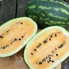 Mountain Sweet Yellow Watermelon Seeds – 50+ Seeds – Heirloom Variety with Yellow Flesh – Sweet Summer Garden Fruit for Planting – USA