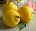 20 Common Quince Fruit Tree Seeds (Cydonia oblonga), Sweet Edible Fruits, Hardy Tree, Backyard Orchard, Garden Starter, Homegrown