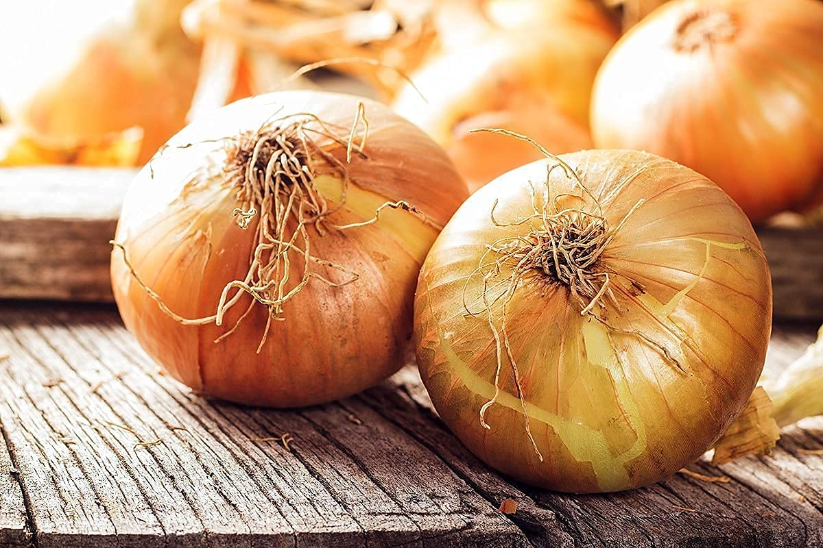 Sweet Spanish Colorado #6 Onion Seeds – 250mg for Planting, Large Mild Bulbs, Heirloom Variety, High Yield, Great for Slicing & Cooking
