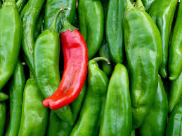 Sonora Mild Hot Pepper Seeds – 250mg for Planting, Mild Heat, High Yield Variety, Great for Roasting, Salsas & Grilling, Garden Container