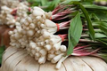Ramps Wild Leeks (Allium tricoccum) - 3 Organically Grown Bare Root Bulbs for Planting