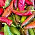 25 Anaheim Pepper Seeds – Capsicum annuum – Mild & Flavorful, High-Yielding, Great for Roasting