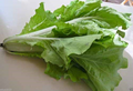 180 Seeds Frilly Leaf Pak Choi Fun Jen Hybrid for Planting (Brassica rapa) - Fast-Growing, Crisp, Nutritious Asian Greens for Home Gardens