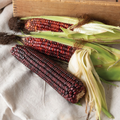 Corn Bloody Butcher Seeds – 5g for Planting, Heirloom Variety, Deep Red Kernels, High Yield, Multi-Purpose, Garden & Field